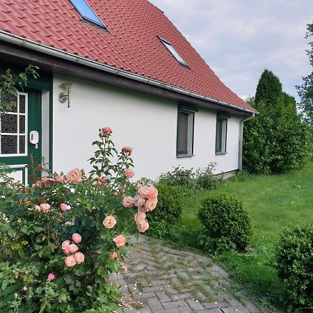 Oeko-Ferienhaus Rappin Esterno foto