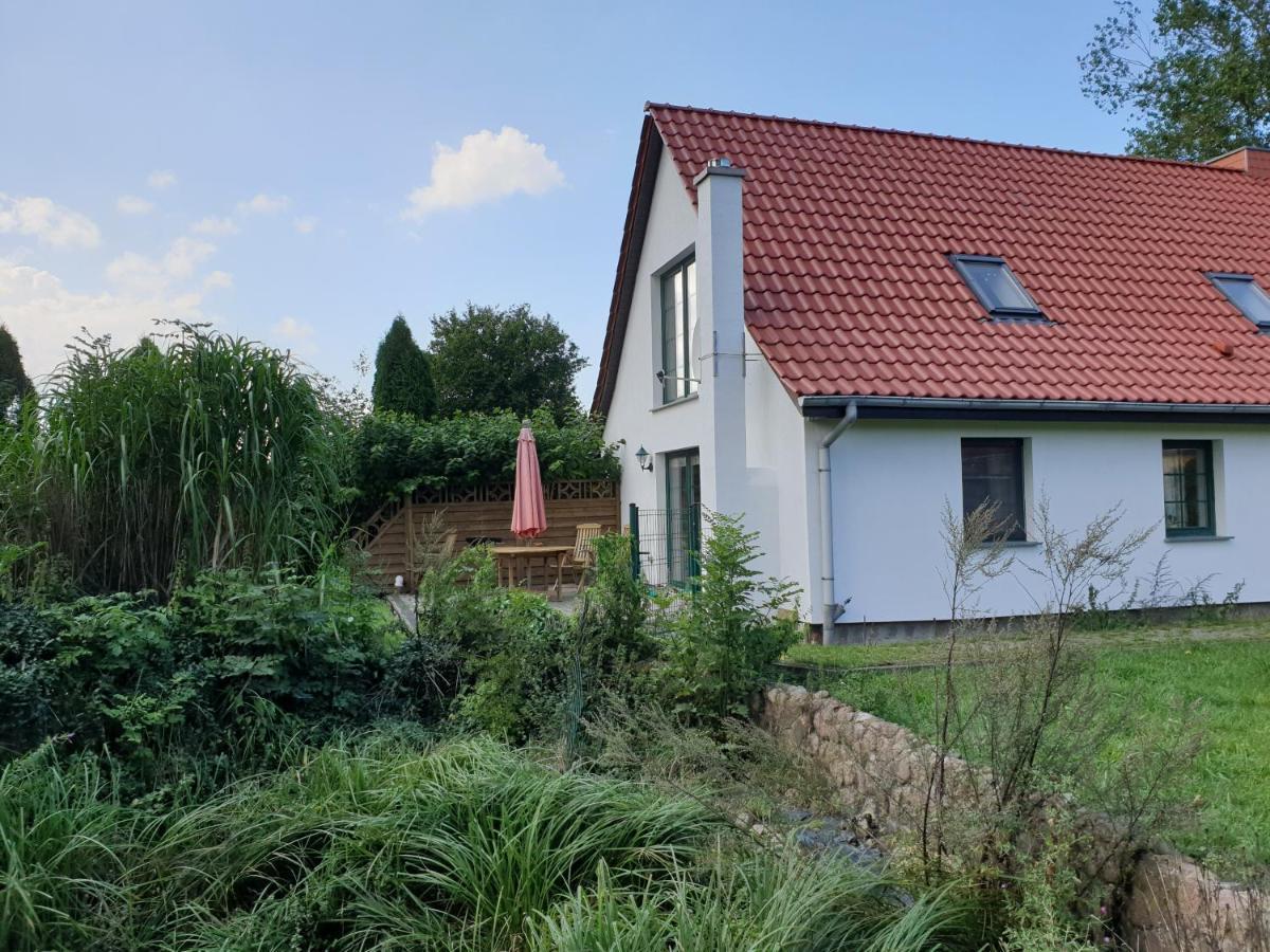 Oeko-Ferienhaus Rappin Esterno foto