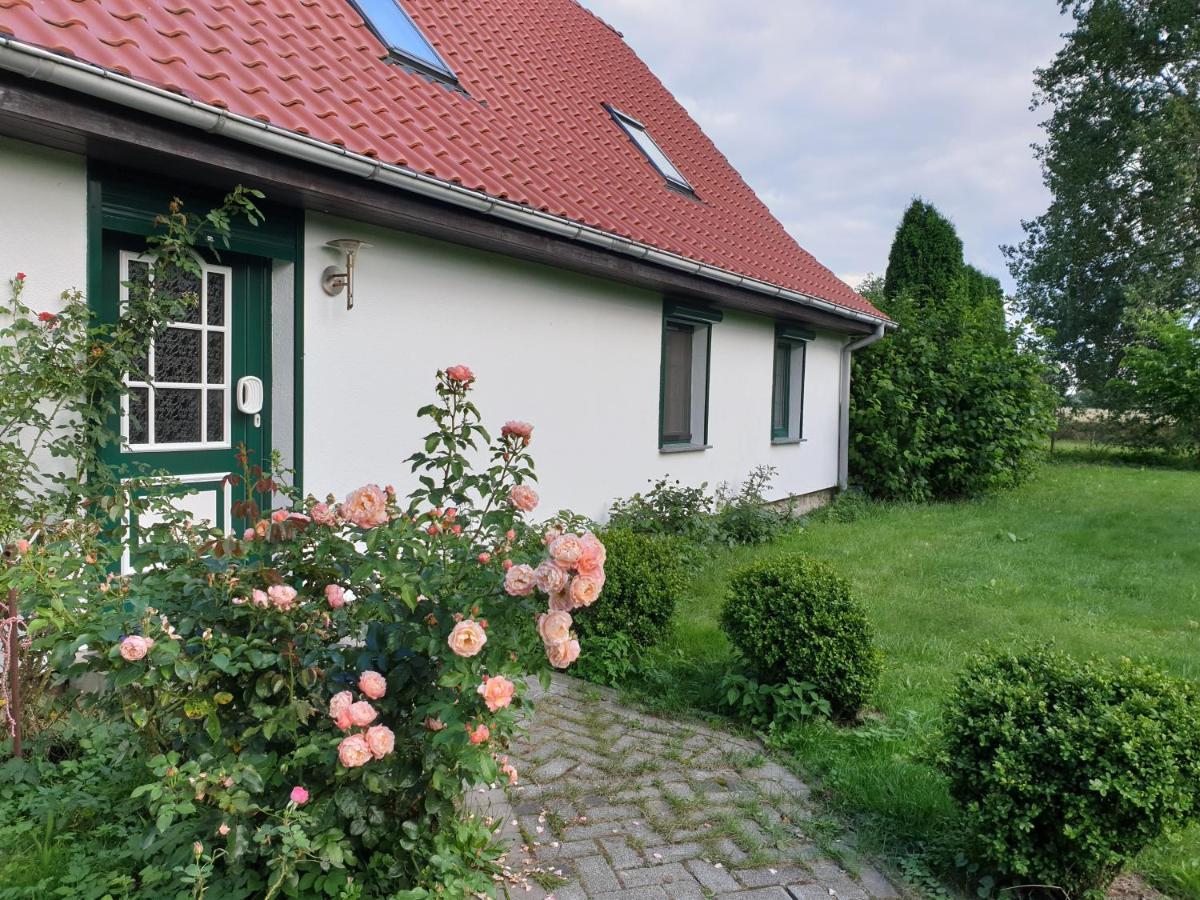 Oeko-Ferienhaus Rappin Esterno foto