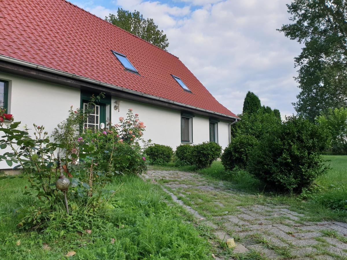Oeko-Ferienhaus Rappin Esterno foto